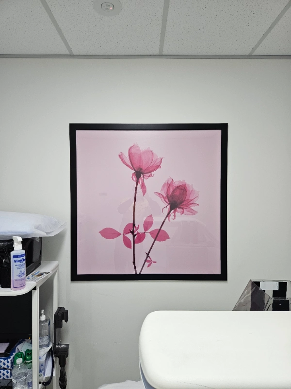 Office wall signage Toowoomba – interior frame print installation